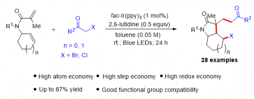 222. Chem. Commun. 2020, 56, 2206-2209.