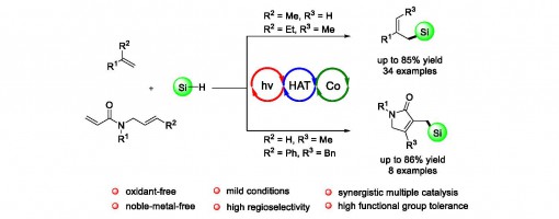 218. Angew. Chem. Int. Ed. 2019, 58, 10941 –10945.