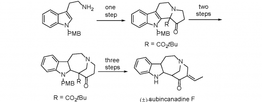 47. J. Org. Chem. 2006, 71, 9495-9498