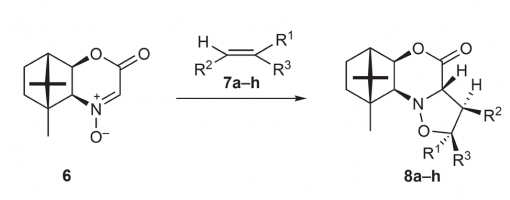 51. Synlett 2006, 7, 1095-1099.