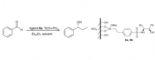 52. Journal of Molecular Catalysis A: Chemical 2006, 258, 216–220.