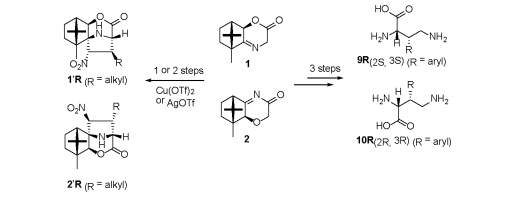 69. J. Org. Chem. 2009, 74, 1252–1258.