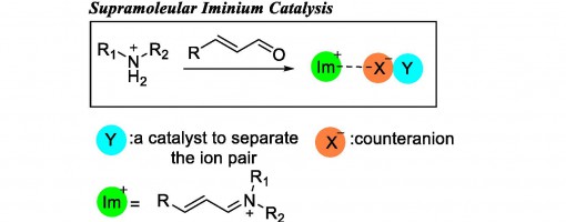 103.Angew. Chem. Int. Ed. 2012, 51, 12339-12342.