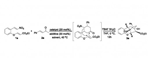 90. Adv. Synth. Catal. 2011, 353, 2960-2965.