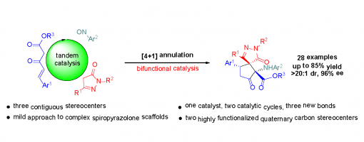 221. J. Org. Chem. 2020, 85, 594−602.