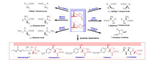 78. Acc. Chem. Res. 2010, 43, 1317-1330.