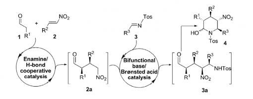 83. Chem. Eur. J. 2010, 16, 3922-3925.