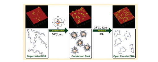 84. J. Phys. Chem. B 2011, 115, 13350–13354.