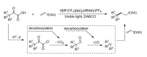 187. J. Org. Chem. 2018, 83, 253-259.