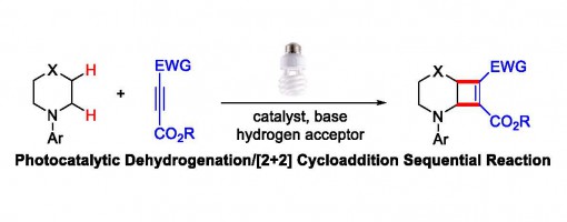 201. Angew. Chem., Int. Ed. 2018, 57, 5110-5114.