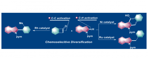 225. Angew. Chem. Int. Ed. 2020, 59, 23537-23543