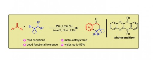 239. J. Org. Chem. 2021, 86, 17156–17163