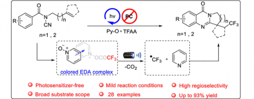 245. J. Org. Chem. 2022, 87, 1493–1501