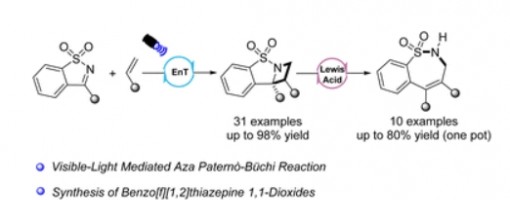 263.  Chem. Commun. 2023, 59, 12467