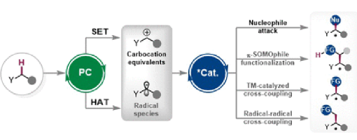 266. J. Am. Chem. Soc. 2024, 146, 1209–1223