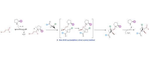 30. Nat. Commun. 2025, 9361