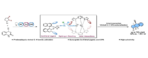 289. Chem. Sci., 2025,