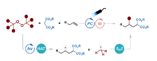 292. Org. Lett. 2026, 28, 7, 2254–2259