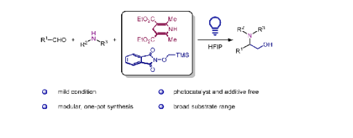 291. Org. Lett. 2026, 28, 5, 1550–1556