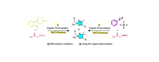 294. Eur. J. Org. Chem. 2026